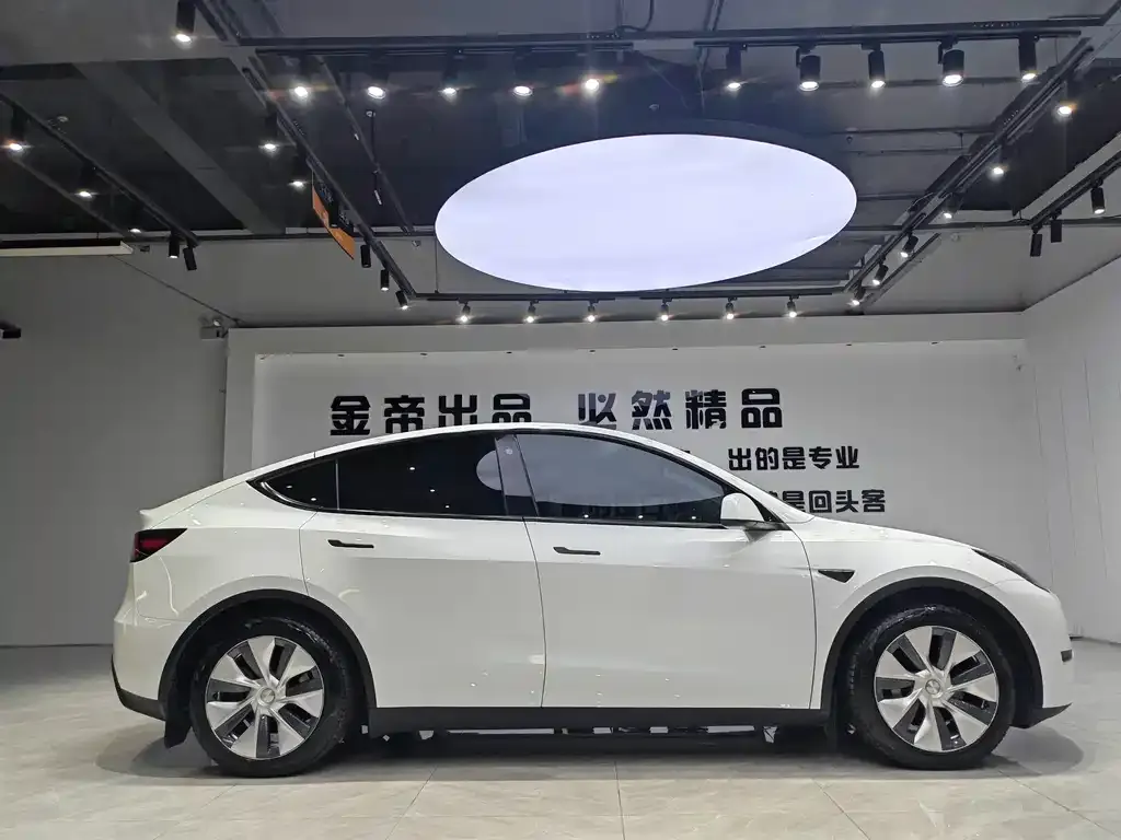 Tesla Model Y — фото 10