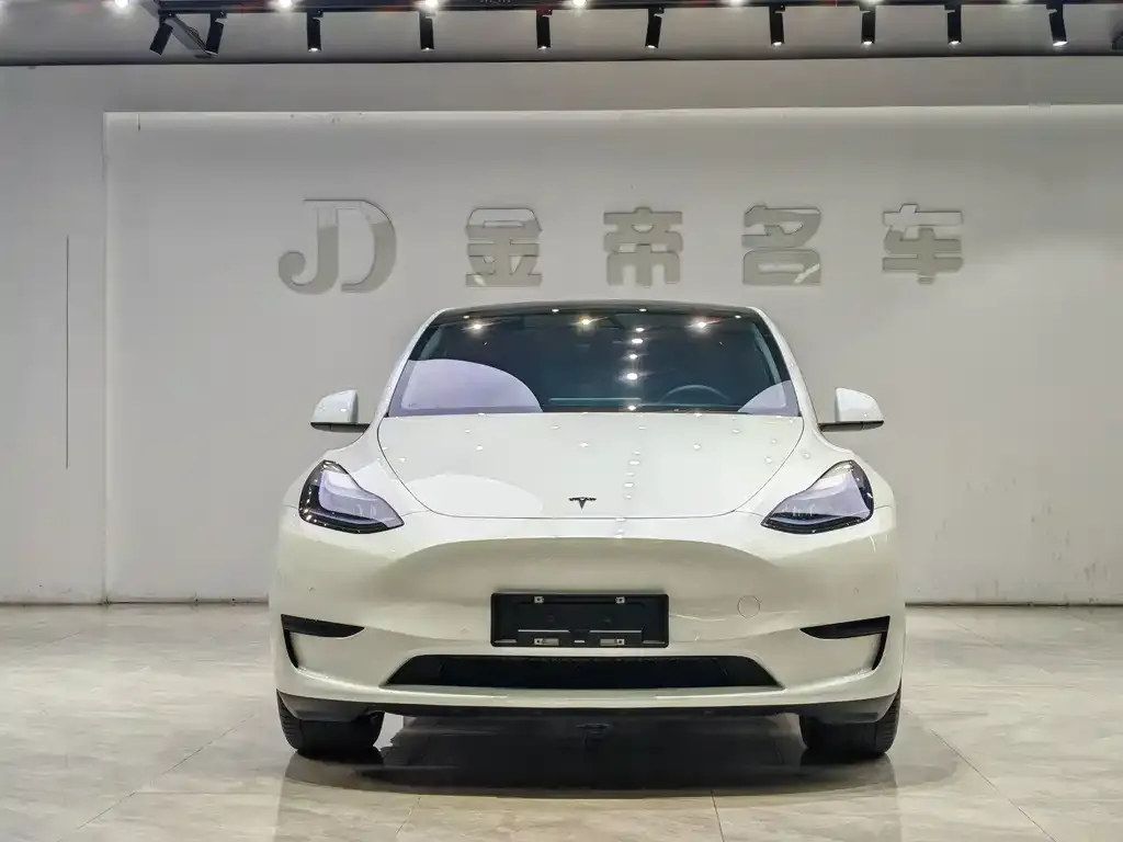 Tesla Model Y — фото 9