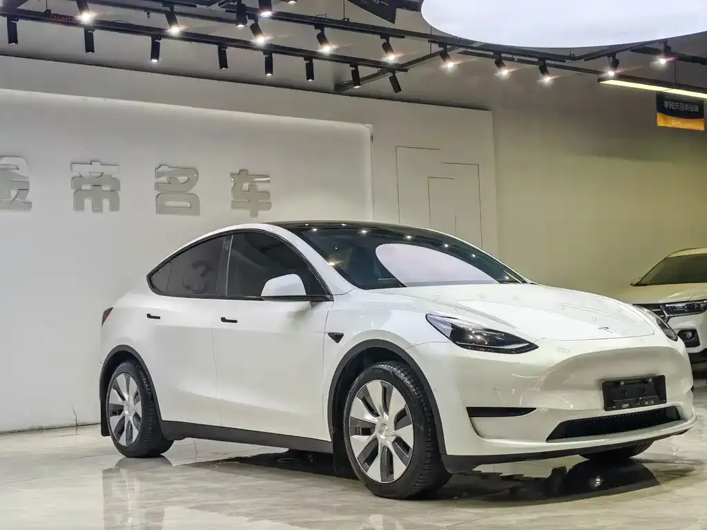 Tesla Model Y — фото 8