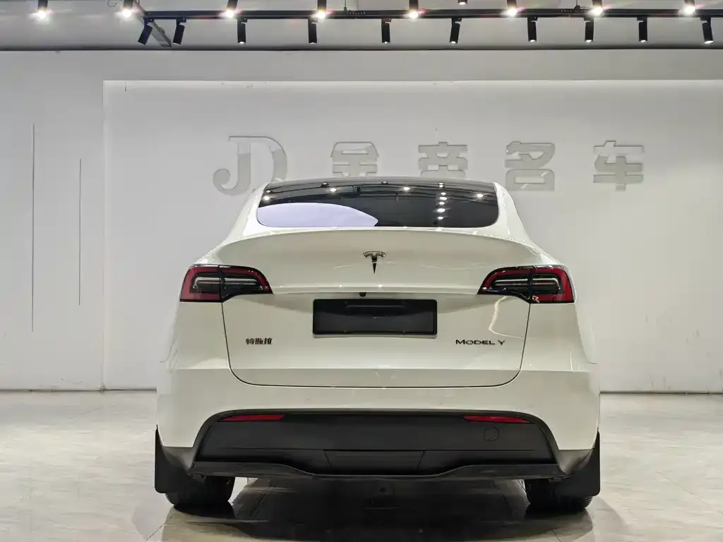 Tesla Model Y — фото 4