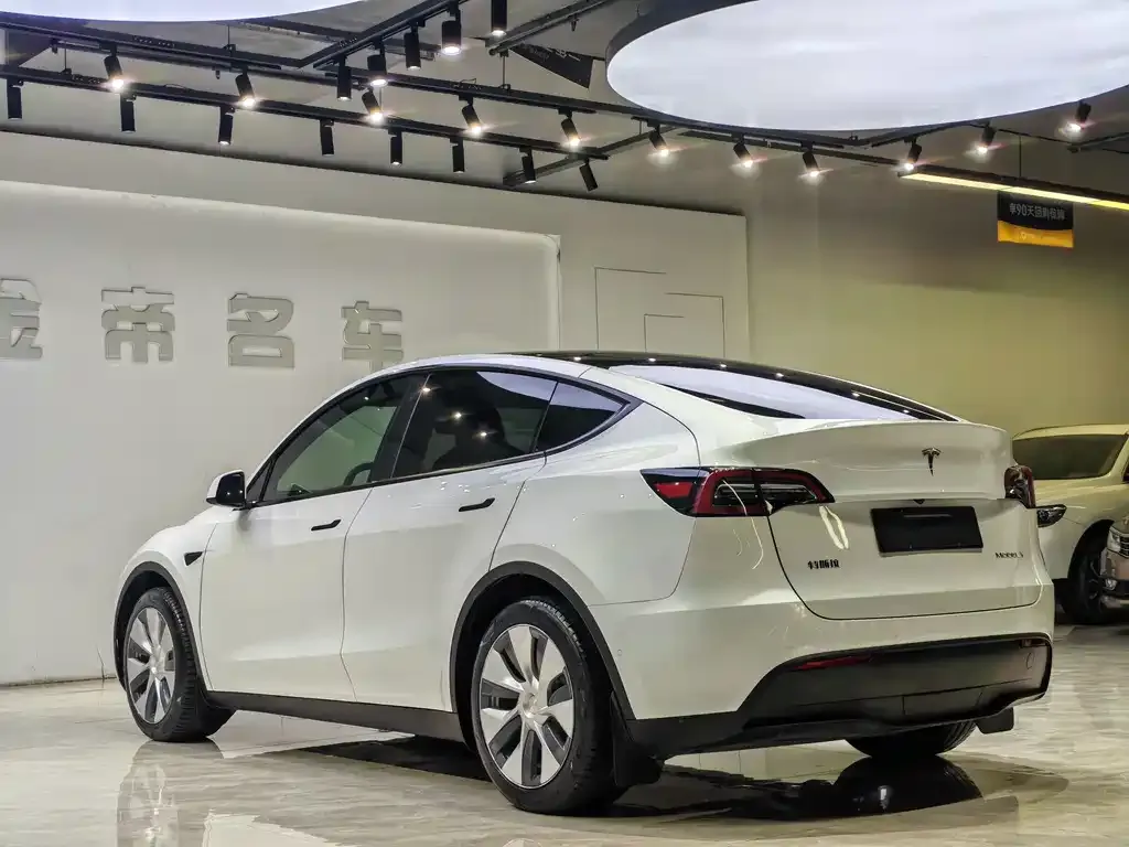 Tesla Model Y — фото 7