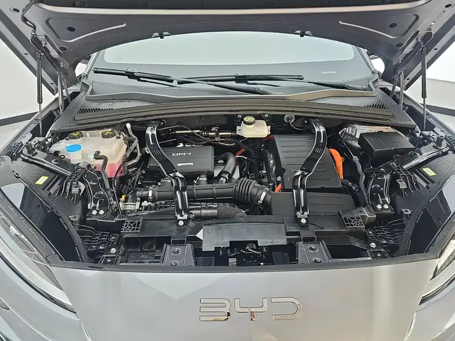 BYD PLUS New Energy — фото 8