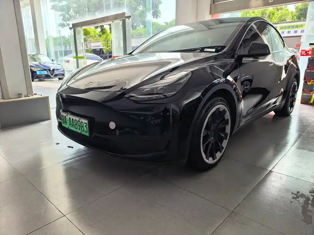 Tesla Model Y — фото 1