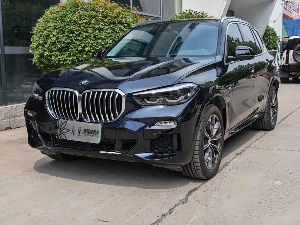 BMW X5 New Energy (Import) — фото 1
