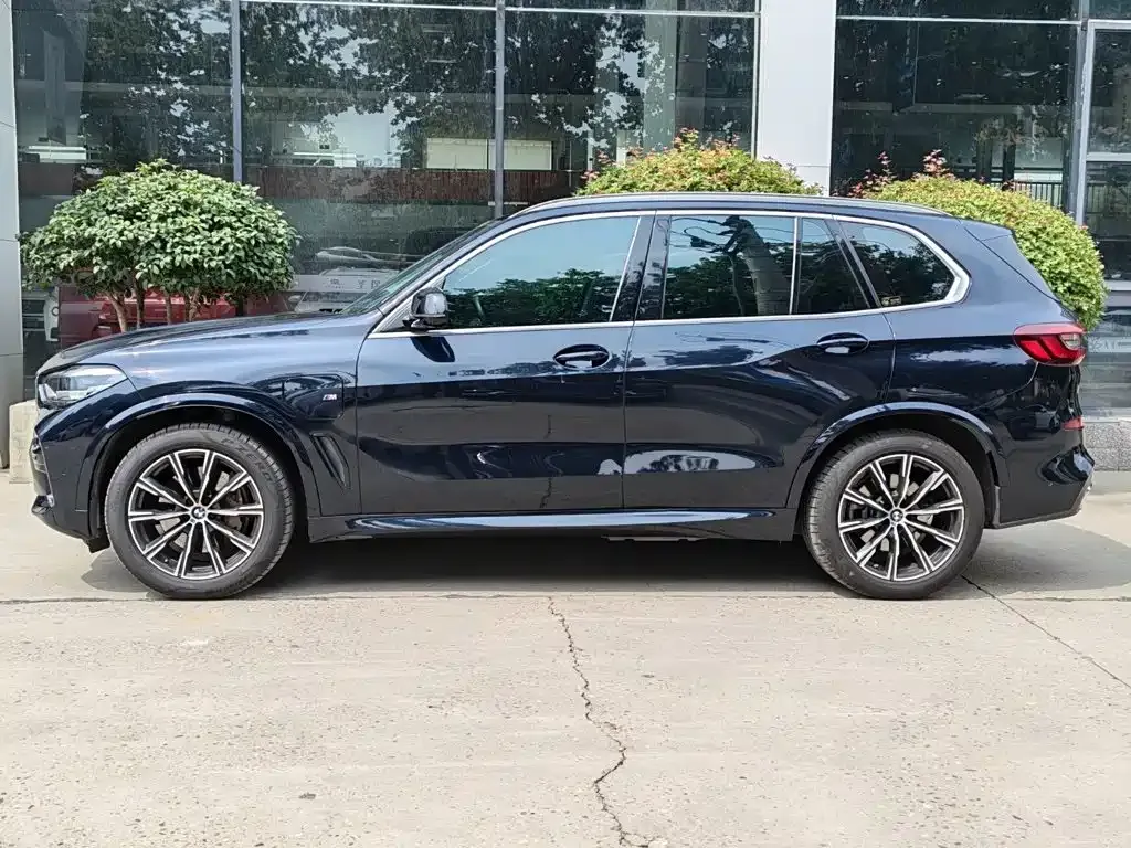 BMW X5 New Energy (Import) — фото 8