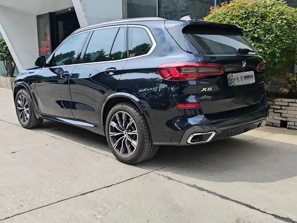 BMW X5 New Energy (Import) — фото 2