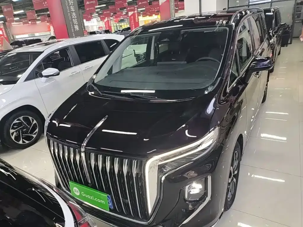 Hongqi HQ9 — фото 3