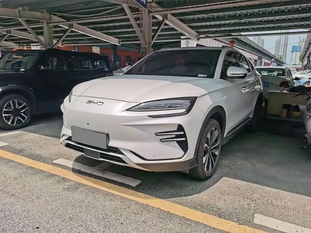 BYD PLUS New Energy — фото 1