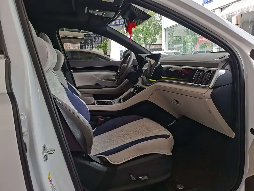 BYD PLUS New Energy — фото 10