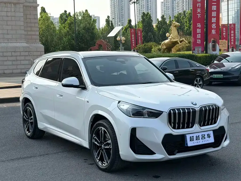 BMW X1 — фото 4