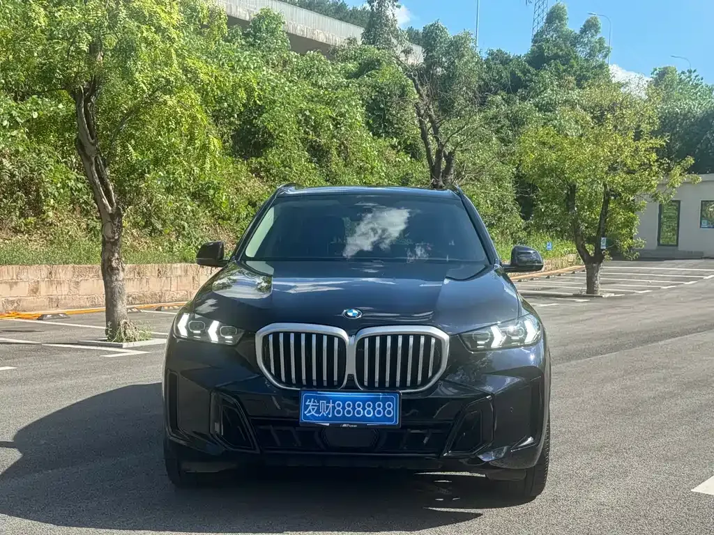 BMW X5 — фото 9
