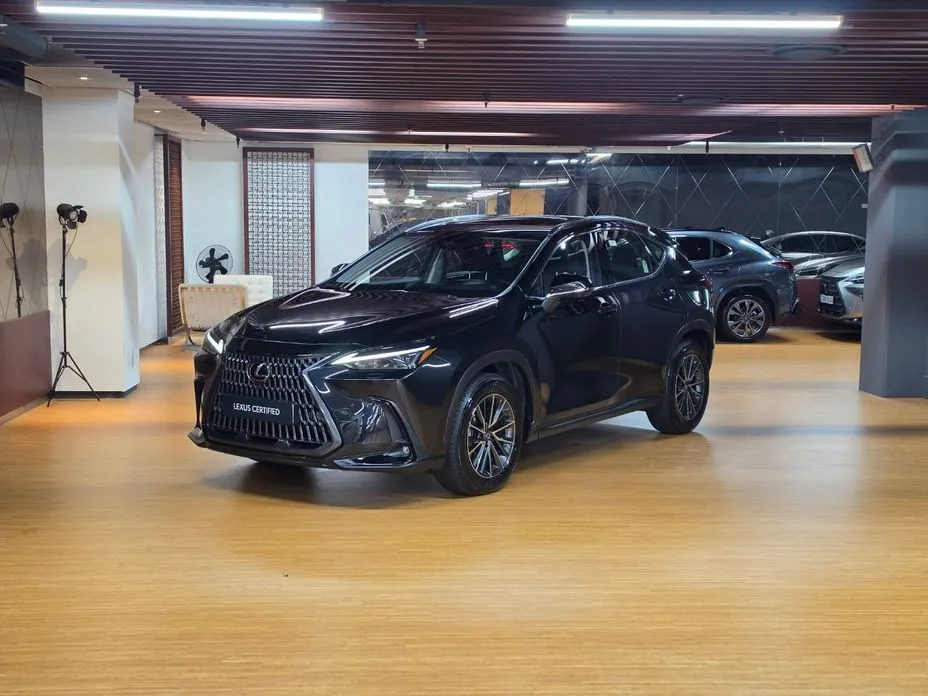 Lexus NX Premium 1