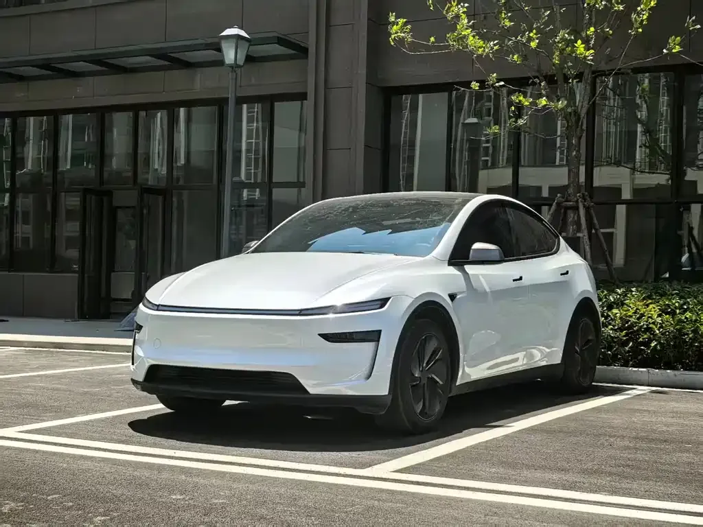 Tesla Model Y — фото 1