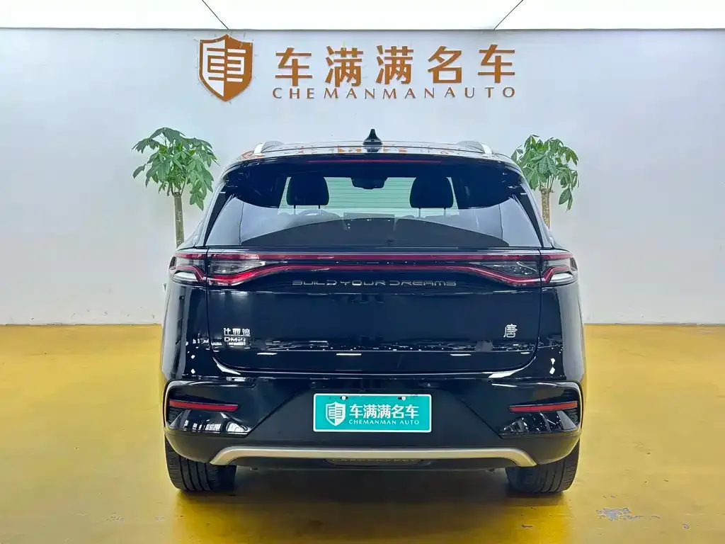BYD Tang New Energy — фото 6