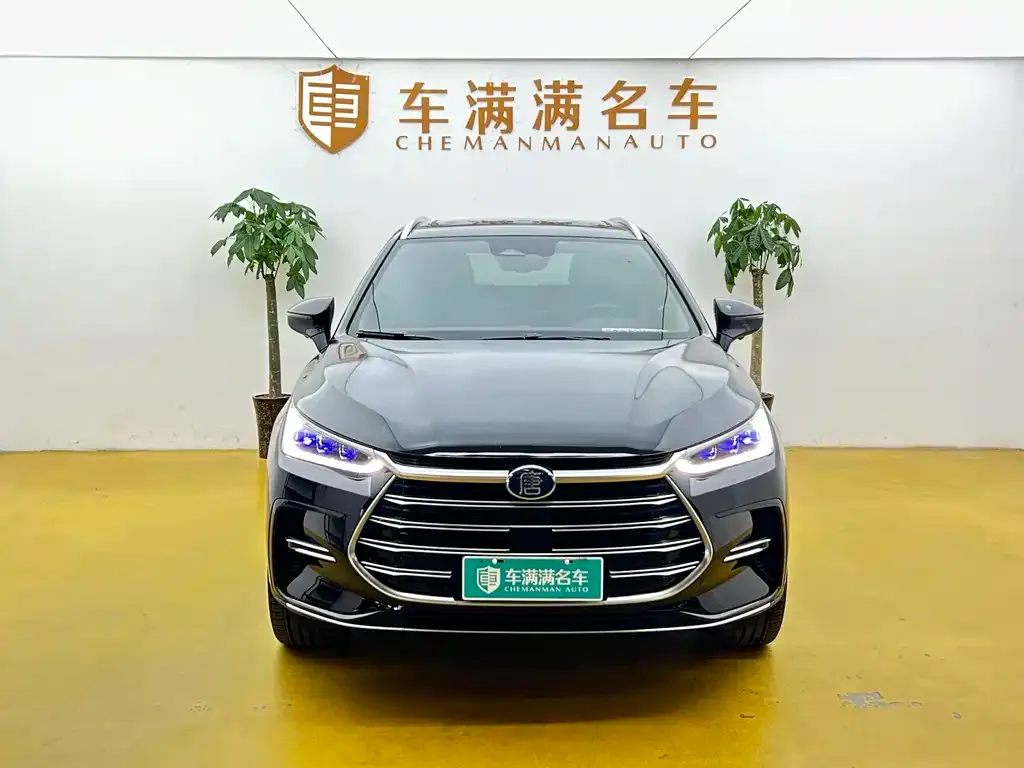 BYD Tang New Energy — фото 9