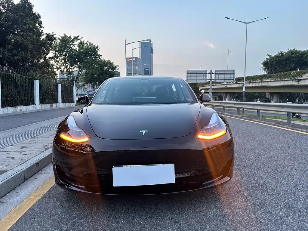 Tesla Model 3 — фото 6