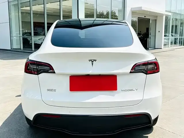 Tesla Model Y — фото 4