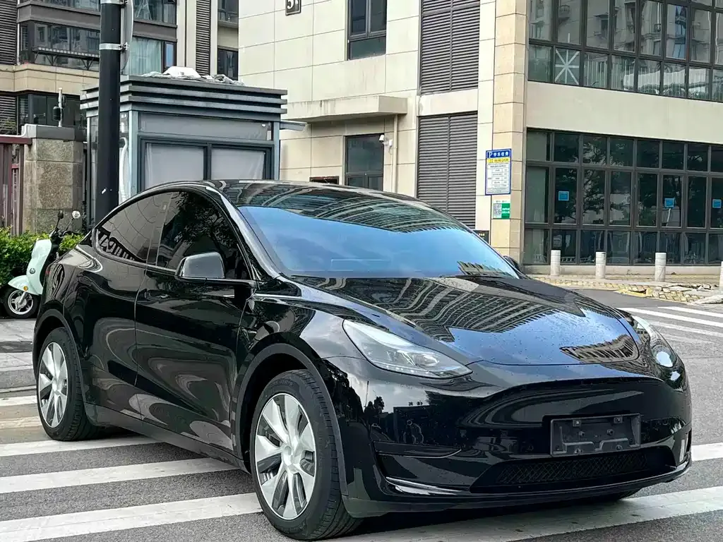 Tesla Model Y — фото 9