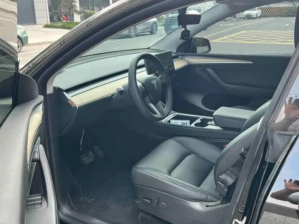 Tesla Model Y — фото 10