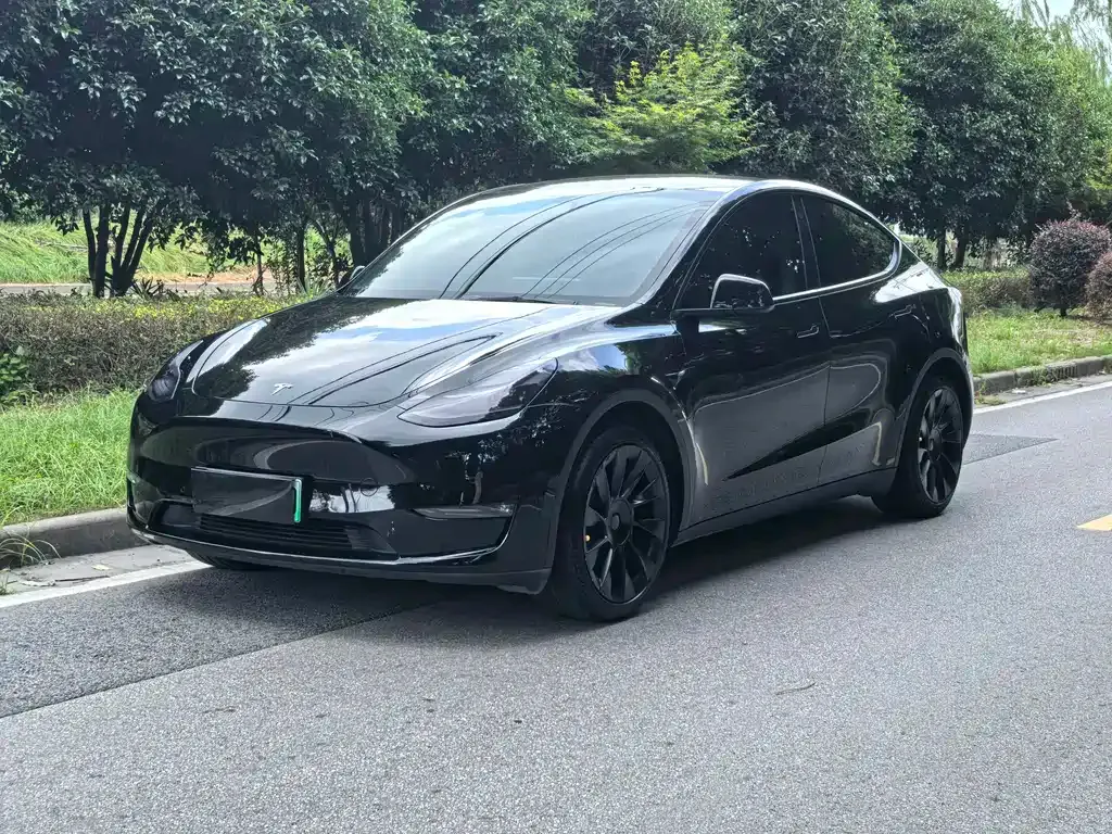 Tesla Model Y — фото 1