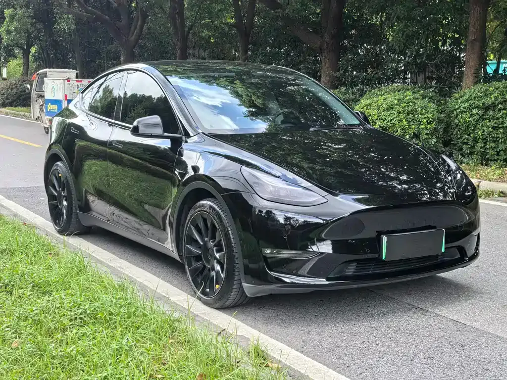 Tesla Model Y — фото 7