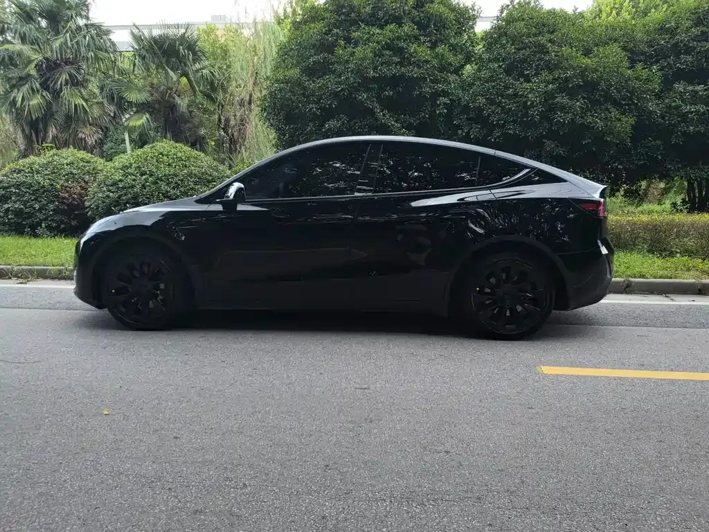 Tesla Model Y — фото 5