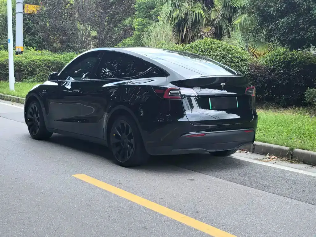 Tesla Model Y — фото 9