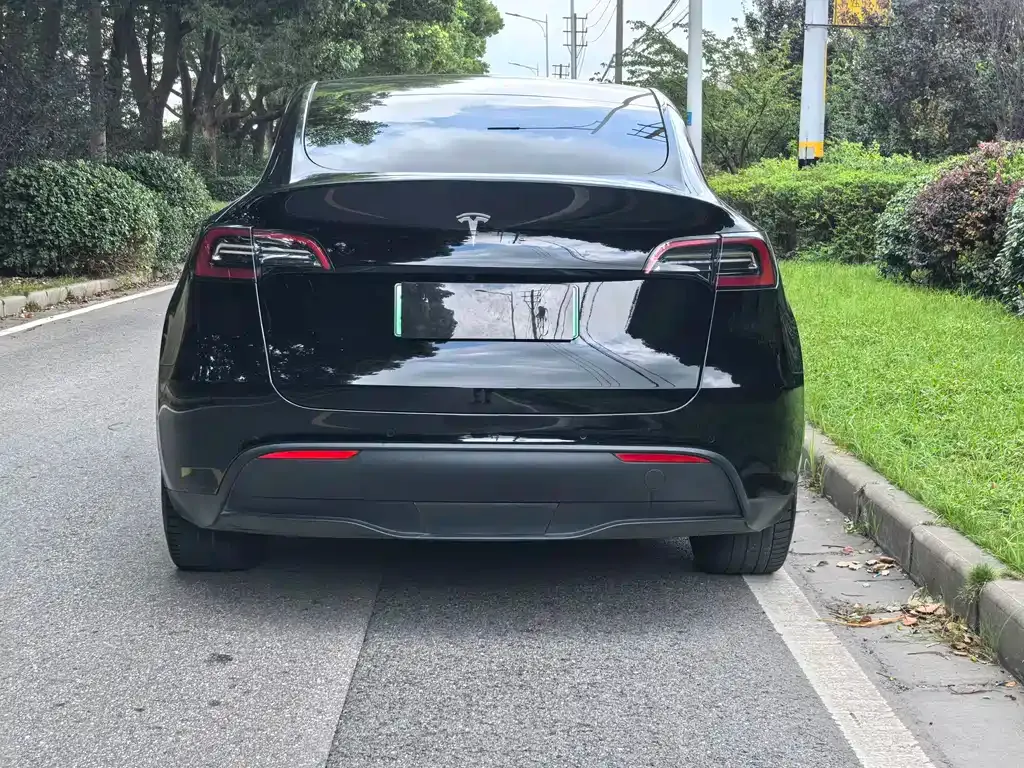 Tesla Model Y — фото 10