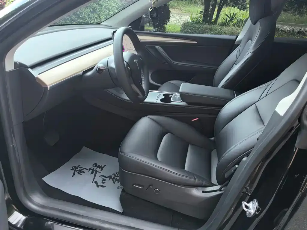 Tesla Model Y — фото 6