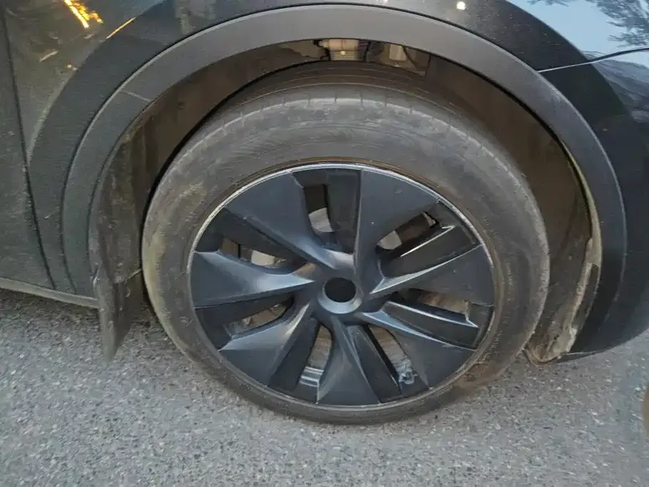 Tesla Model Y — фото 10