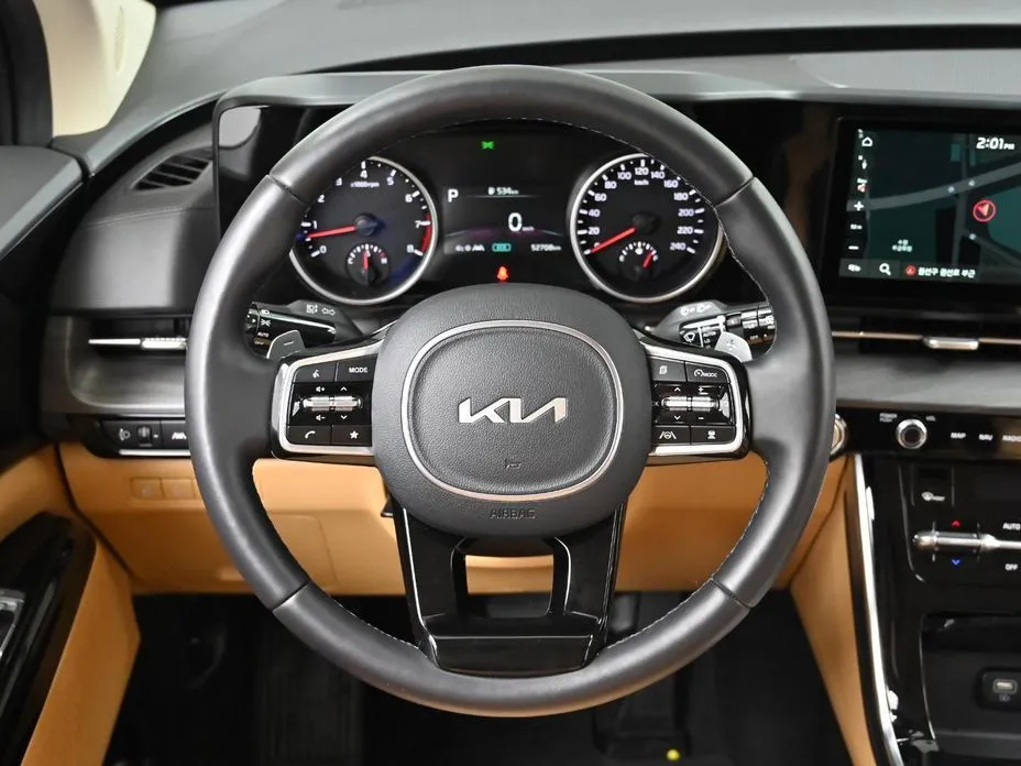 Kia Carnival — фото 8