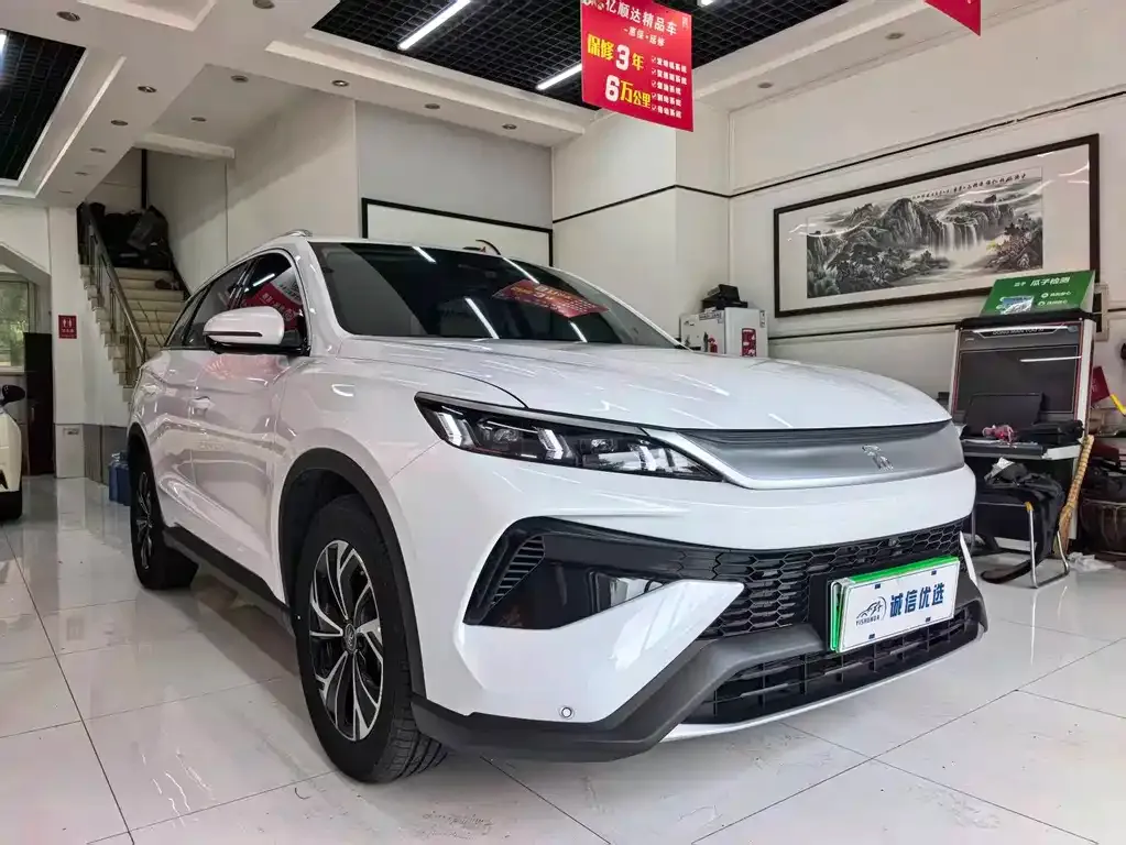 BYD Pro New Energy — фото 3