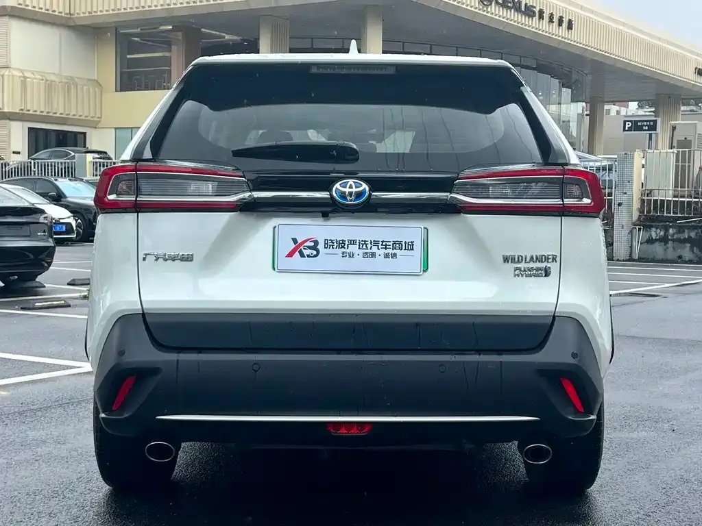 Toyota Wildlander New Energy — фото 3