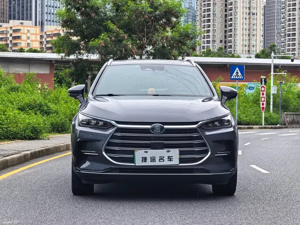 BYD Tang New Energy — фото 1