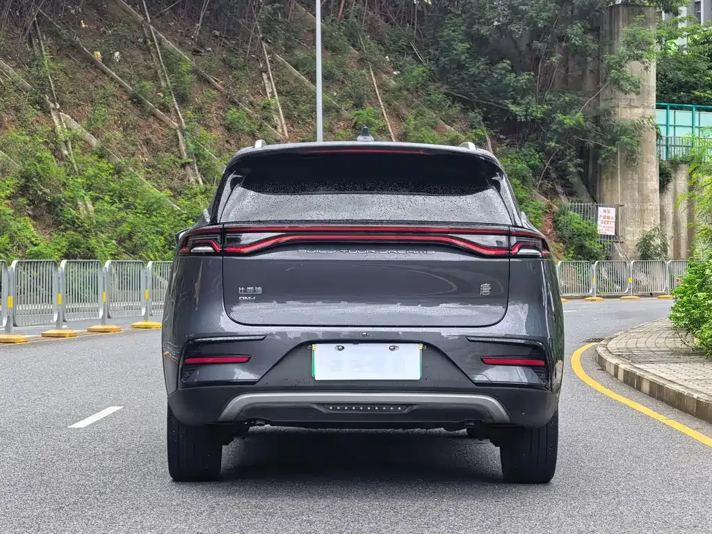 BYD Tang New Energy — фото 10