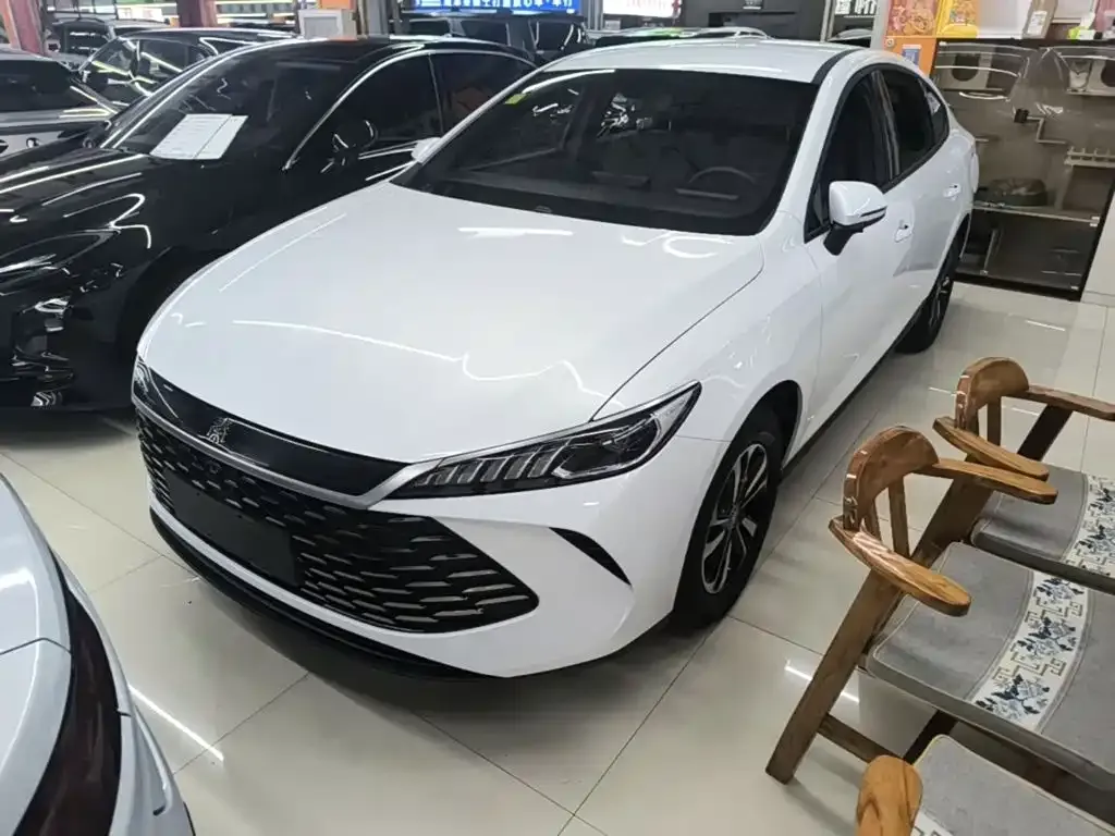 BYD Qin PLUS — фото 1
