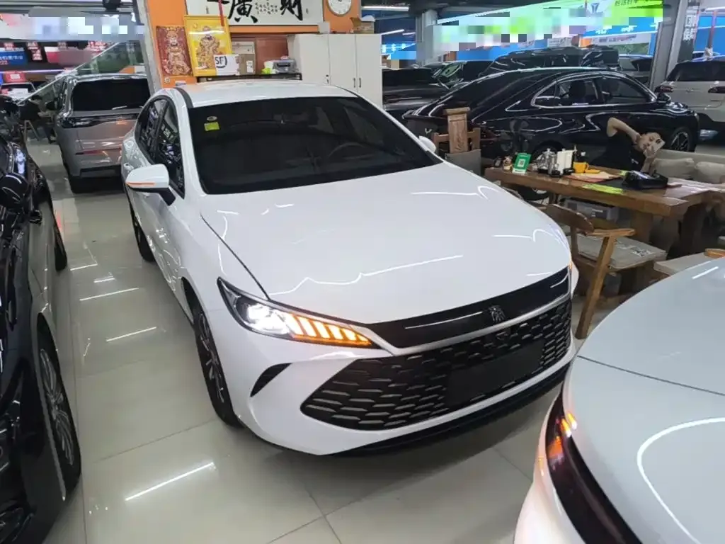 BYD Qin PLUS — фото 10