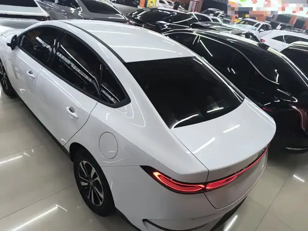 BYD Qin PLUS — фото 6