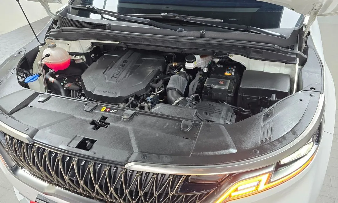 Kia Carnival — фото 10