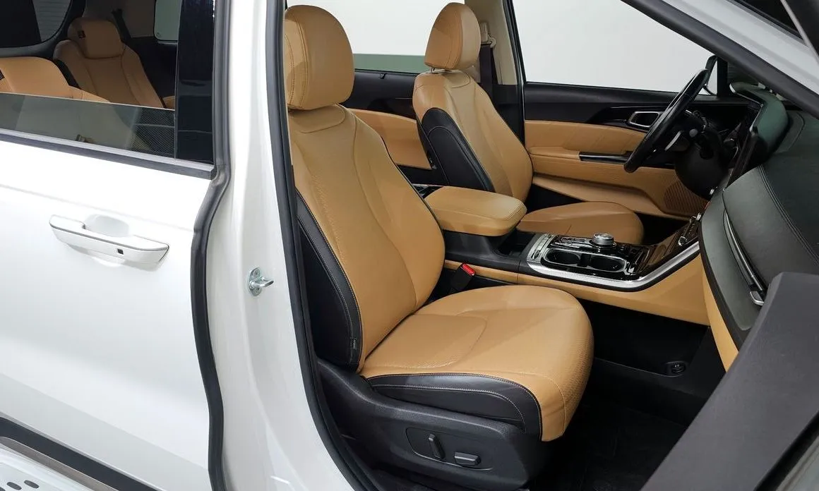 Kia Carnival — фото 10