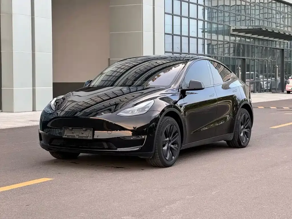 Tesla Model Y — фото 1