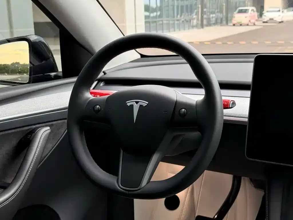 Tesla Model Y — фото 10