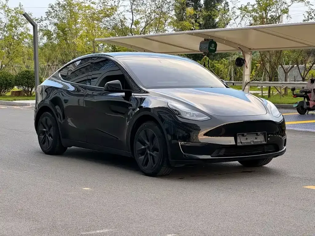 Tesla Model Y — фото 9