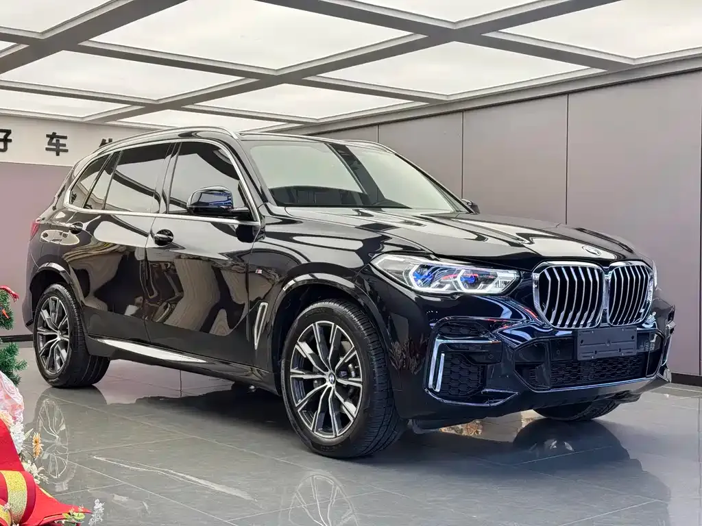 BMW X5 — фото 4