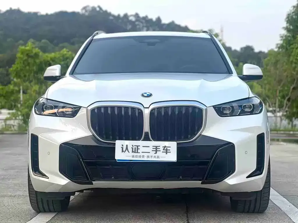 BMW X5 — фото 9