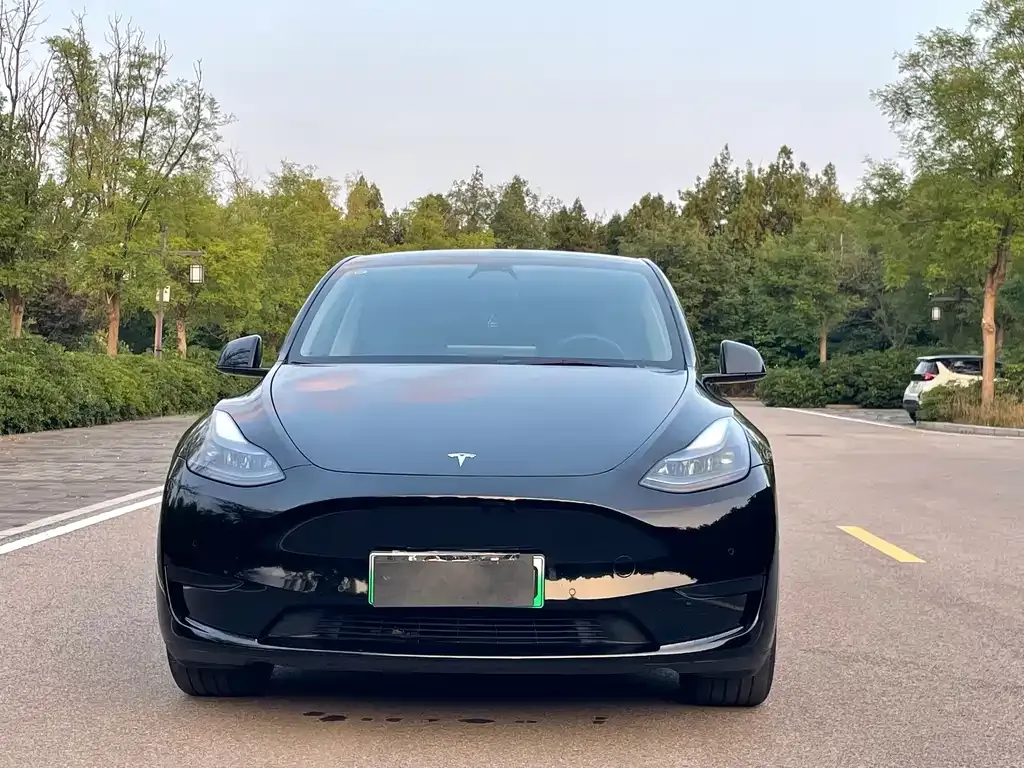 Tesla Model Y — фото 7
