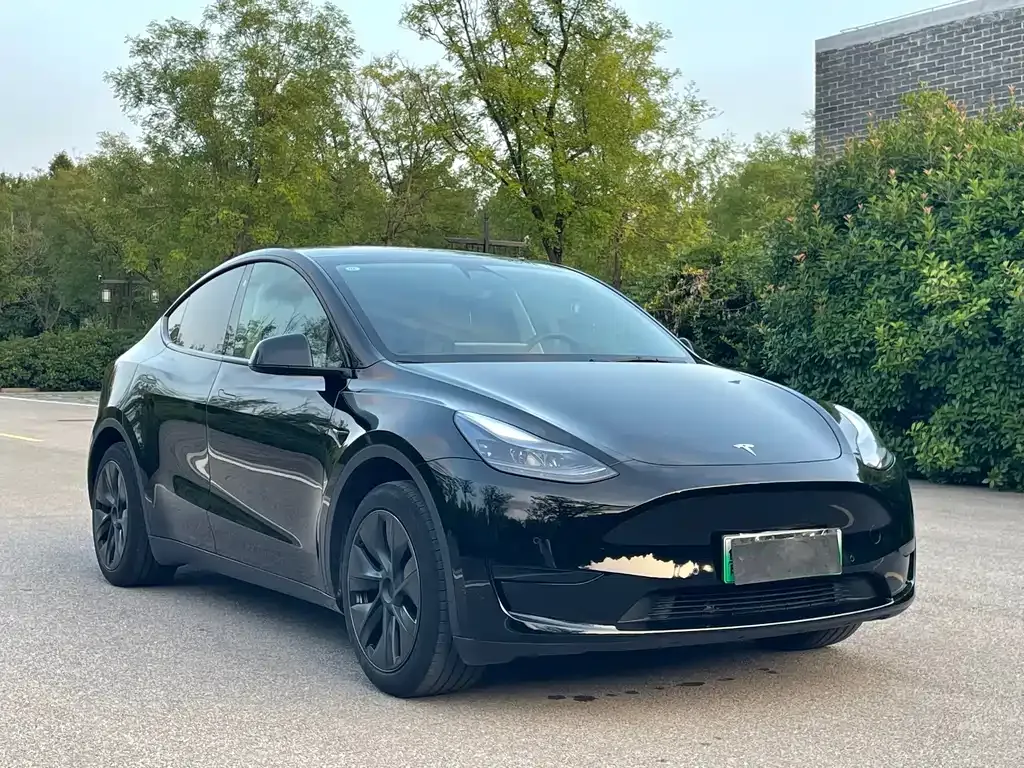 Tesla Model Y — фото 6