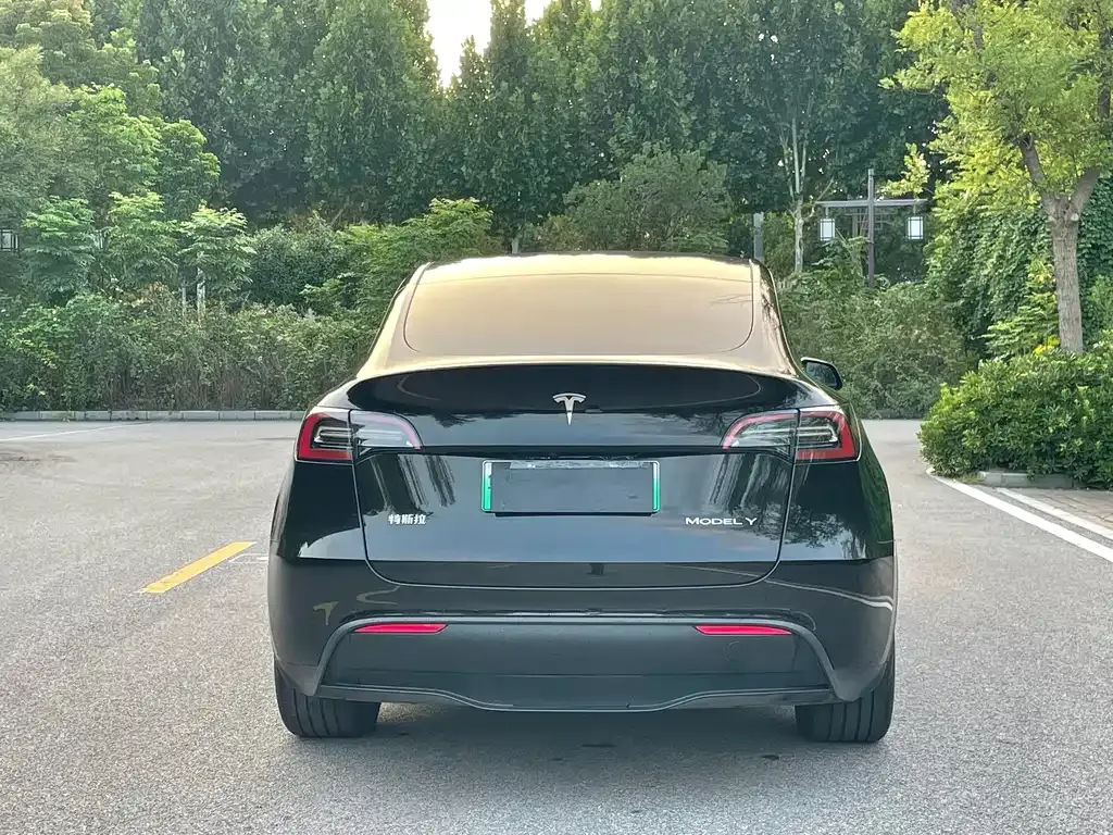 Tesla Model Y — фото 10