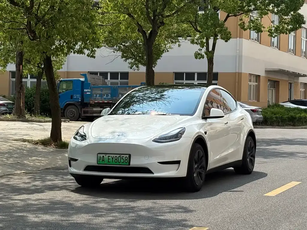 Tesla Model Y — фото 1