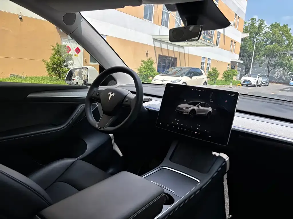 Tesla Model Y — фото 10
